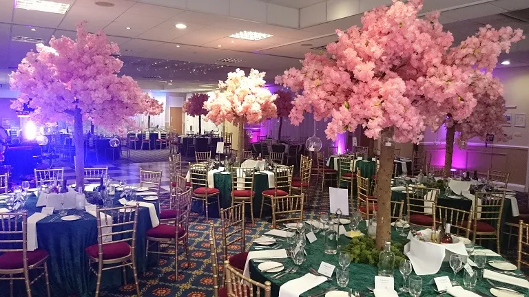 Themed graduation ball