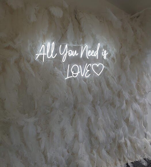 Feather Wall backdrop hire for weddings and parties