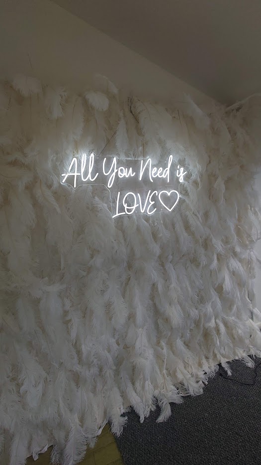 Feather Wall backdrop hire for weddings and parties