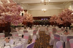 Pink blossom trees Midland Hotel